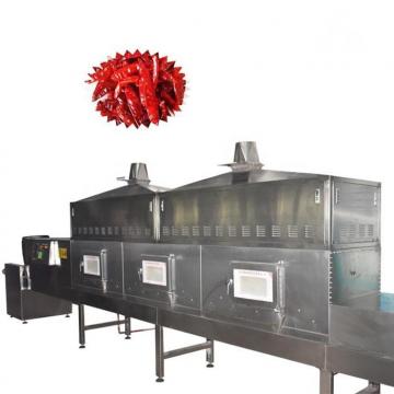 Industrial Microwave Gas Dryer Equipment in Food Industry Fruit Dryer