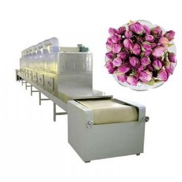 Automatic Tunnel Type Food Fruits Vegetables Dryer
