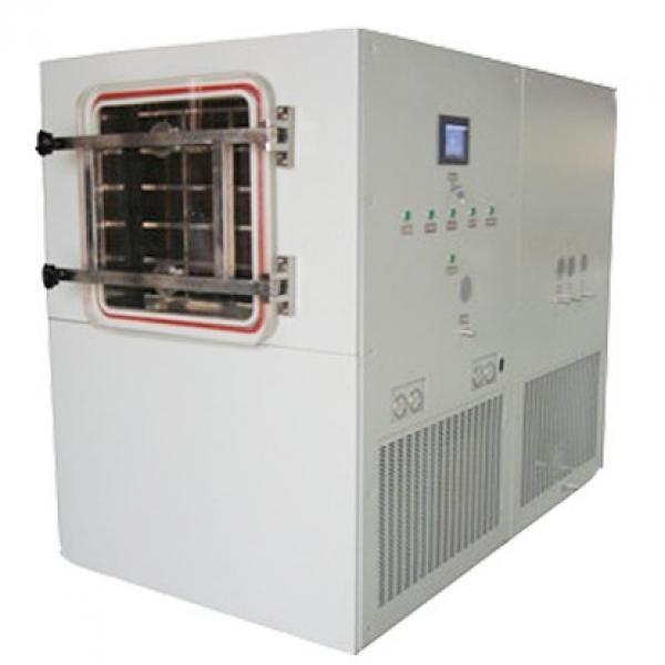 20kg Food Industrial Heat Conductive Oil Cryogenic Vacuum Freeze Dryer #1 image