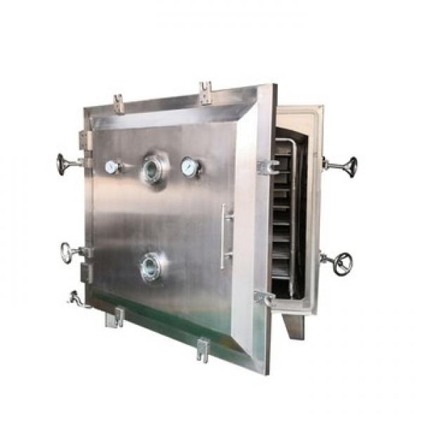 Food Industrial Electric Heating Cheese Vacuum Dryer #1 image