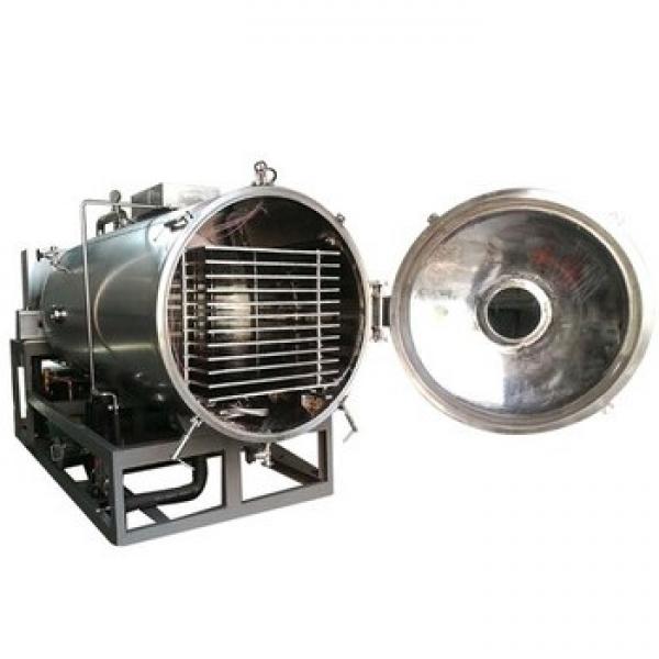 20kg Food Industrial Heat Conductive Oil Cryogenic Vacuum Freeze Dryer #3 image