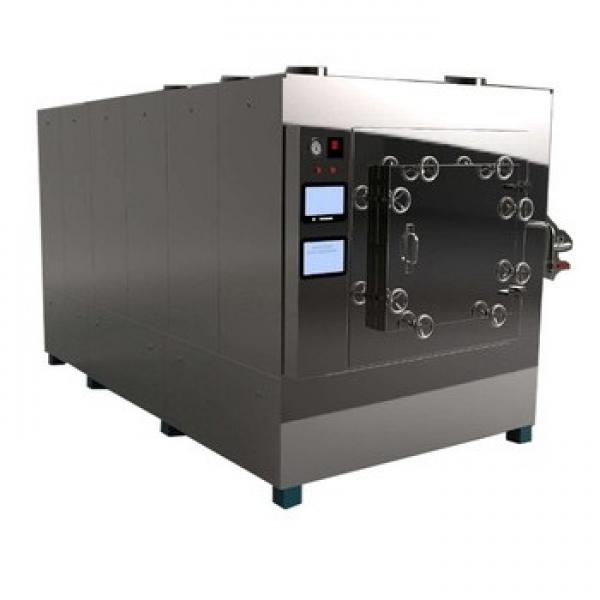 Industrial Vacuum Dryer -Microwave Vacuum Dryer for Rosebud #3 image