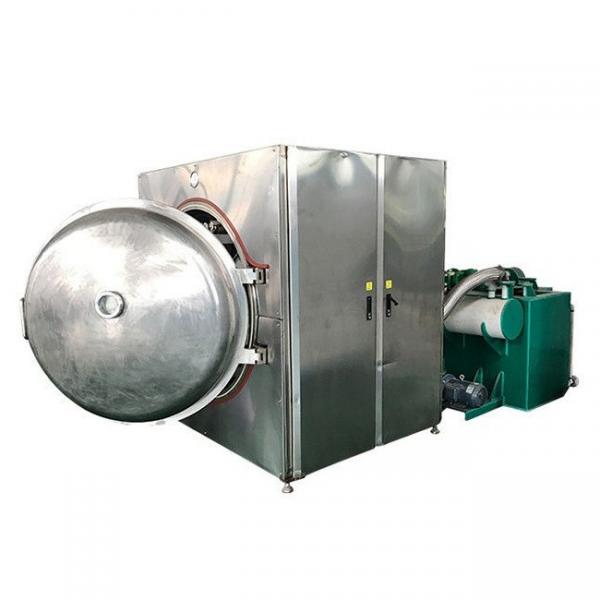 Bench-Top Mini Small Laboratory Vacuum Freeze Dryer (Lyophilizer) Drying Machine #2 image