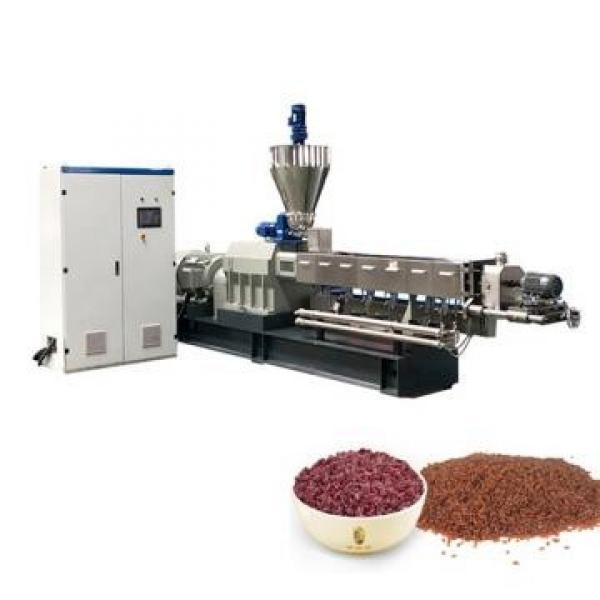 Dayi Twin Screw Extruder Artificial Fortified Rice Making Processing Machine #1 image
