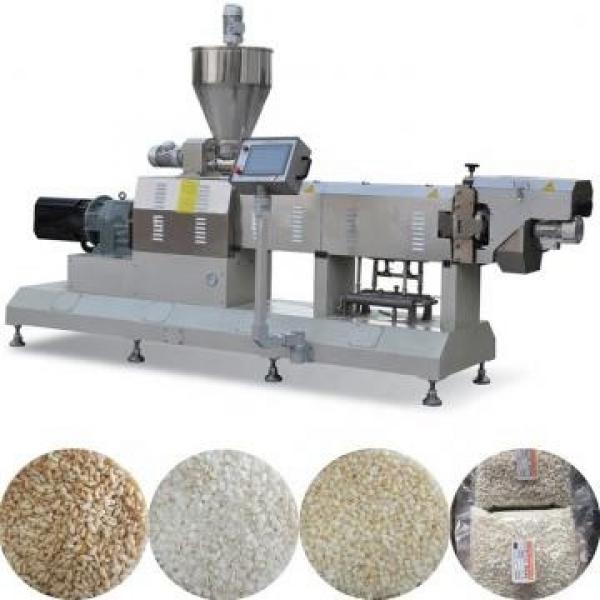 Professional Hot Selling Full Automatic Artificial Nutritional Rice Making Machine #2 image