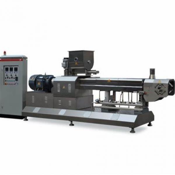 Screw Extruded Reconstituted Nutritious Instant Artificial Rice Making Machine #2 image