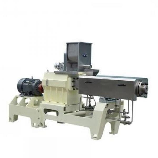 Laboratory Twin-Screw Extruder to Produce Dog Food Pellet Making Machine /New Energy Pet Food Production Line #2 image