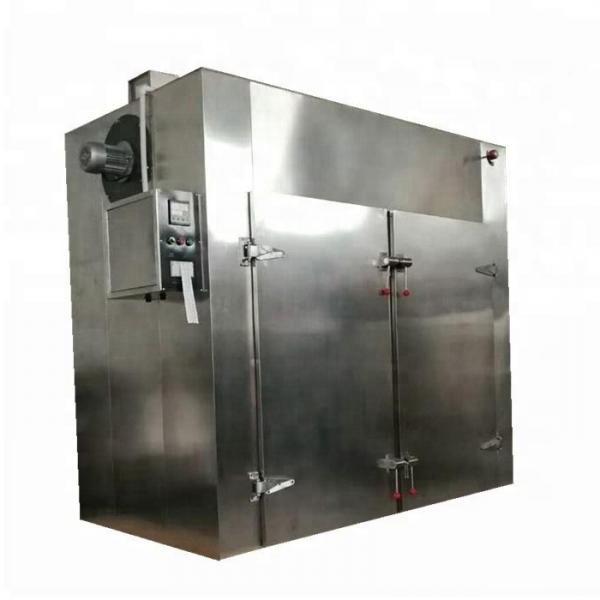 Hot Air Belt Hemp Dryer Vegetable Drying Machine with Propane Heating #1 image