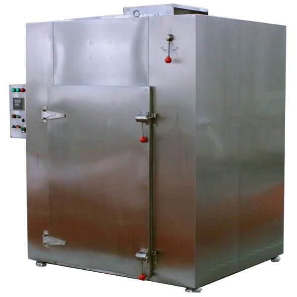 Industrial Hemp Hot Air Continuous Belt Fruit Dryer Drying Machine #1 image
