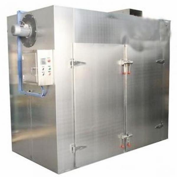 Industrial Hemp Hot Air Continuous Belt Fruit Dryer Drying Machine #2 image