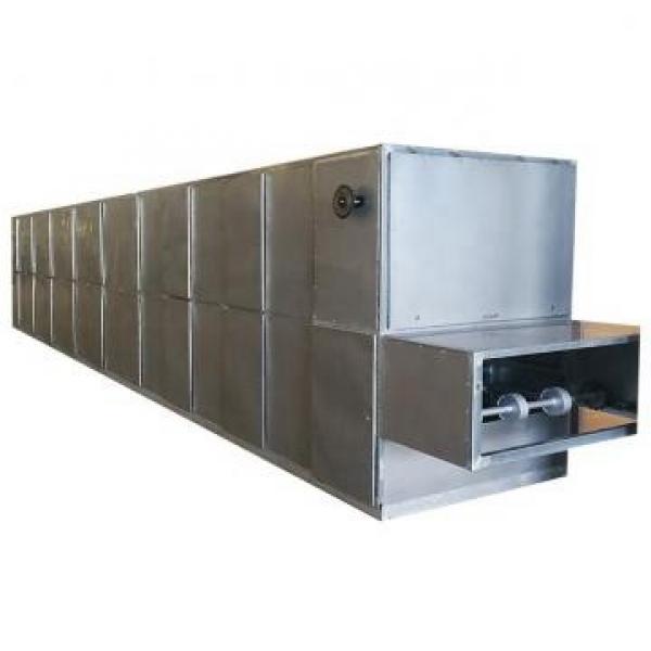 Industrial Hemp Hot Air Continuous Belt Fruit Dryer Drying Machine #3 image