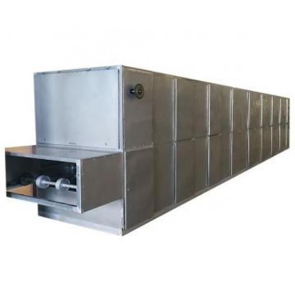 Commercial Hot Air Sea Food Dryer Machine #2 image