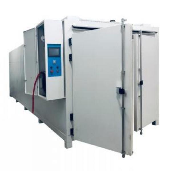 Hot Air Belt Hemp Dryer Vegetable Drying Machine with Propane Heating #2 image