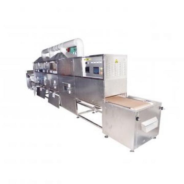Continuous Vacuum Microwave Drying Sterilizing Machine #2 image