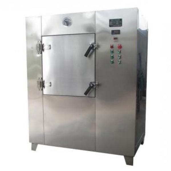 Commerical Energy Saving Microwave Vacuum Tray Drying Equipment for Food Processing Industries #1 image