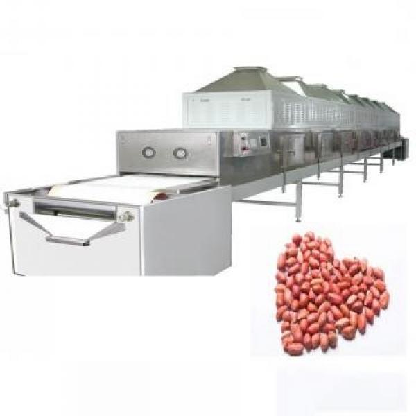 Jinan China Hot Sale Stainless Steel Industrial Tunnel Drying Machine for Microwave Oven Seafood Shrimp Food Dehydrator Machine Low Price #2 image