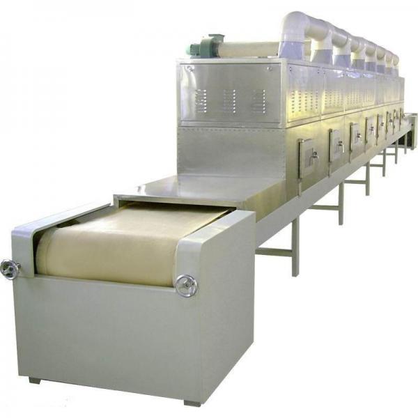 Microwave Thawing Machine for Frozen Sea Meat Food #1 image