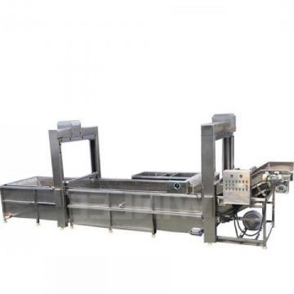 Tunnel Belt Conveyor Microwave Drying Thawing Defatting Machine for Meat #2 image