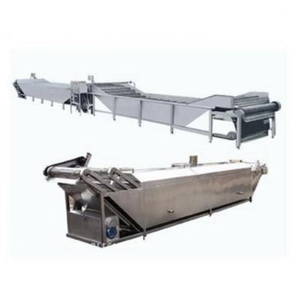 Large Capacity 800kg/H Automatic Vegetable Lettuce Cabbage Washer Thawing Machine (TS-X680S) #1 image