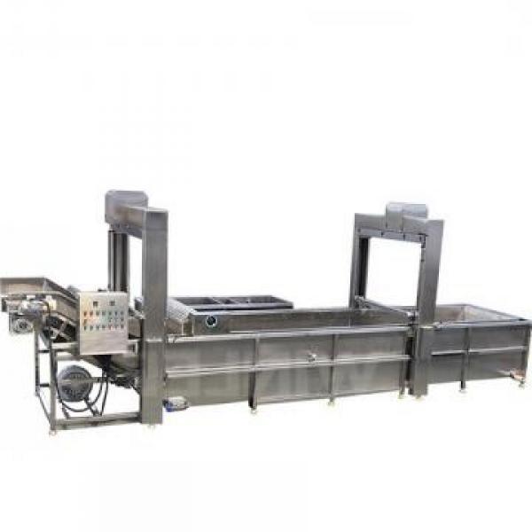 Large Capacity Continuous Frozen Pork Meat Thawing Machine for Food Factory #1 image
