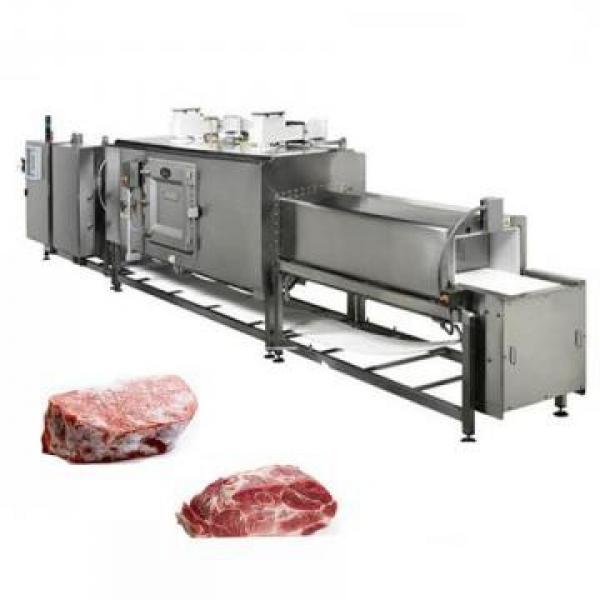 Automatic Commercial Frozen Chicken Meat/Foot Defreezing Thawing Machine #2 image