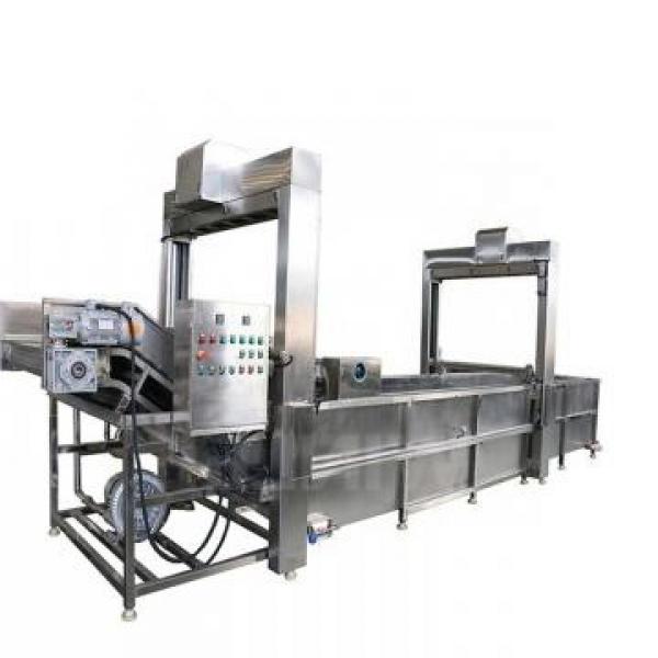 Industrial Continuous Microwave Frozen Meat Thawing Machine #1 image