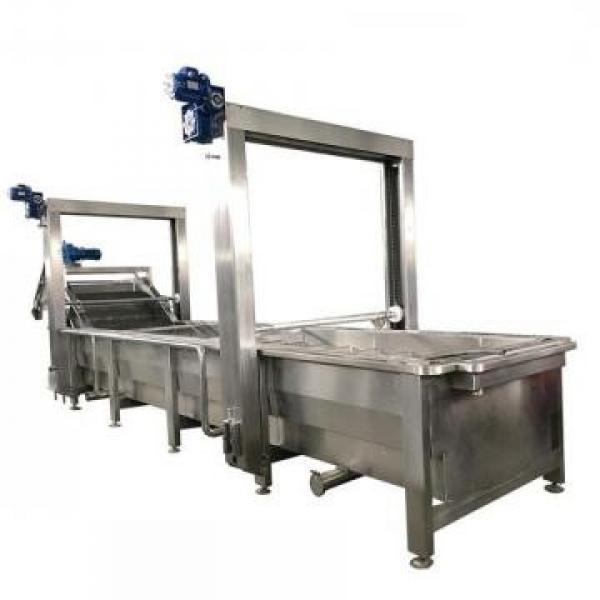 Commercial Washer, Vegetable Frozen Meat Thawing Machine with Single Tank #2 image