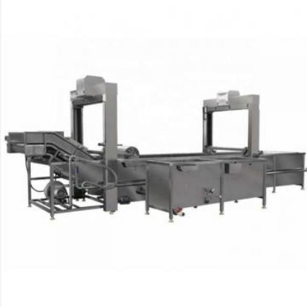 Continuous Frozen Shrimp Thawing Machine for Melting Ice #2 image