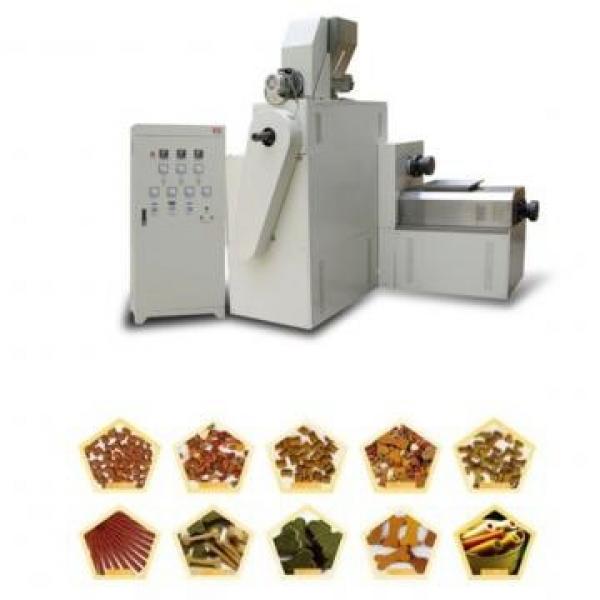 Automatic Single Screw Extruder Stainless Steel Pet Dog Chew Treat Extruder Machine #3 image