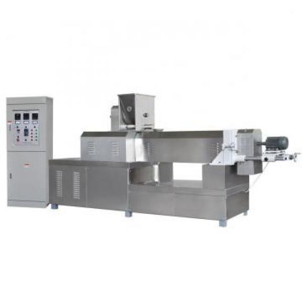 Automatic Puffing Breakfast Cereal Corn Chips Machine Corn Flakes Making Extrusion Machine Manufacturers Price #3 image