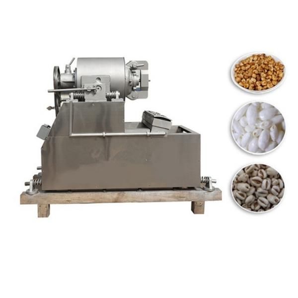 Twin Screw Snacks Food Corn Puffing Breakfast Cereals Extruder Machine #1 image