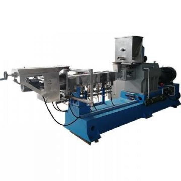 Floating Fish Feed Pet Food Extruder Production Line #1 image