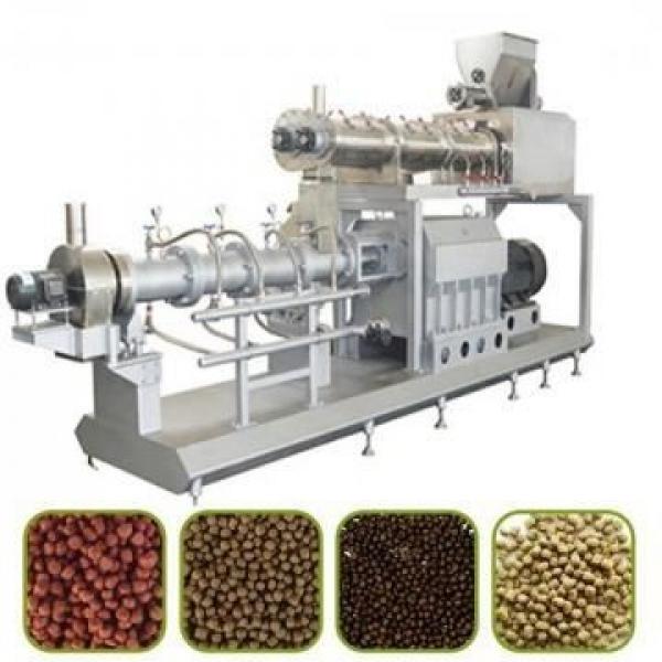 100kg/H-6ton/H Floating and Sinking Fish Feed Extruder Plant Equipment Production Line Machine #1 image