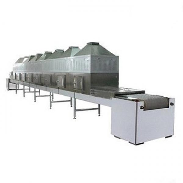 Industrial Continuous Fruit Nut Grain Leaves Mineral Microwave Drying Roasting Sterilization Curing Oven Machine #1 image