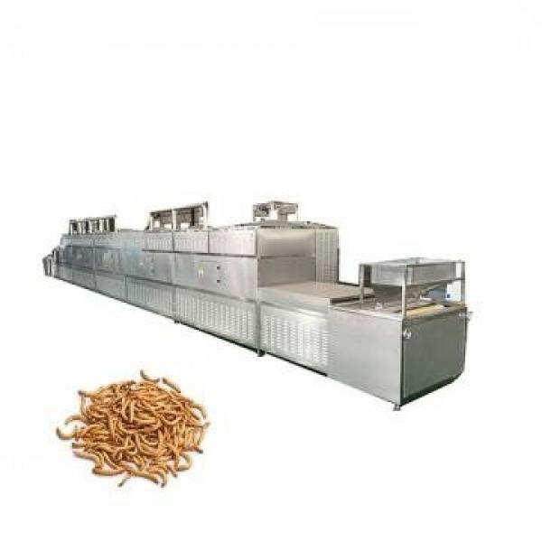 Ginger Powder Microwave Sterilization Drying Machine #1 image