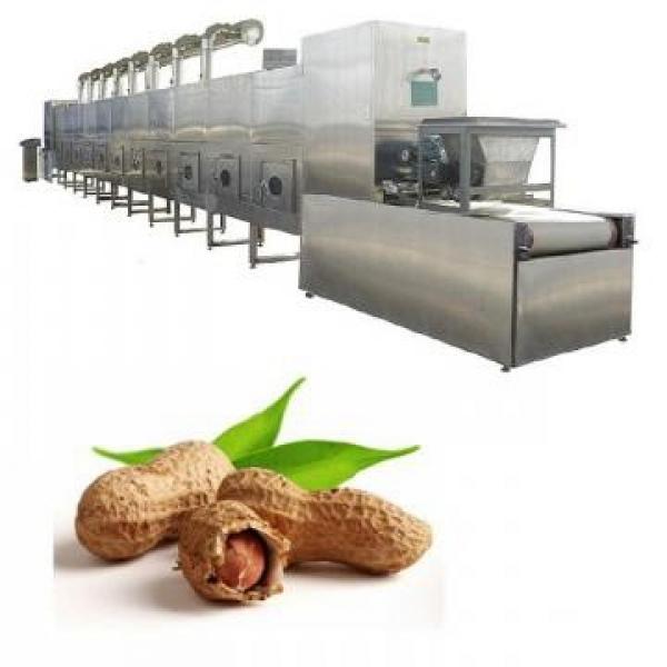 Industrial Tunnel Microwave Food Grain Nuts Spice Herbal Tea Powder Dryer Roasting Drying Curing Sterilization Machine #1 image