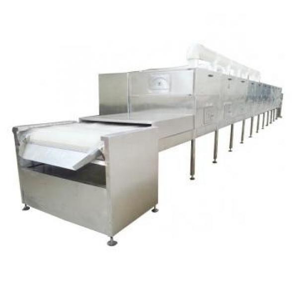 Wood Flower Grain Soybean Microwave Drying Sterilization Machine #3 image
