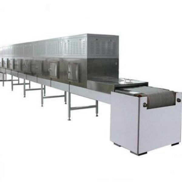 Continuous Tunnel Type Microwave Dryer and Sterilizing for Chili Powder #1 image