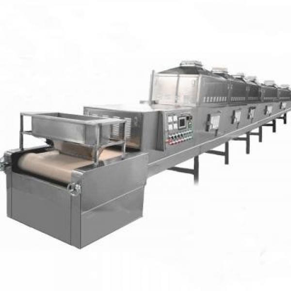 Htwx Microwave Vacuum Tray Drying Machine for Drying Food and Sterilization #3 image