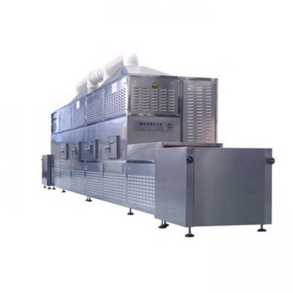 Industrial Continuous Fruit Nut Grain Leaves Mineral Microwave Drying Roasting Sterilization Curing Oven Machine #3 image