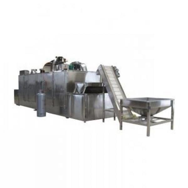 Industrial Tunnel Microwave Drying Lily Flower Dryer Machine #1 image
