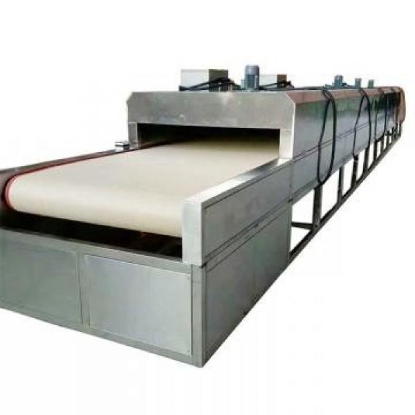 Automatic Tunnel Type Microwave Dryer Bay Leaf Sterilization Machine #1 image