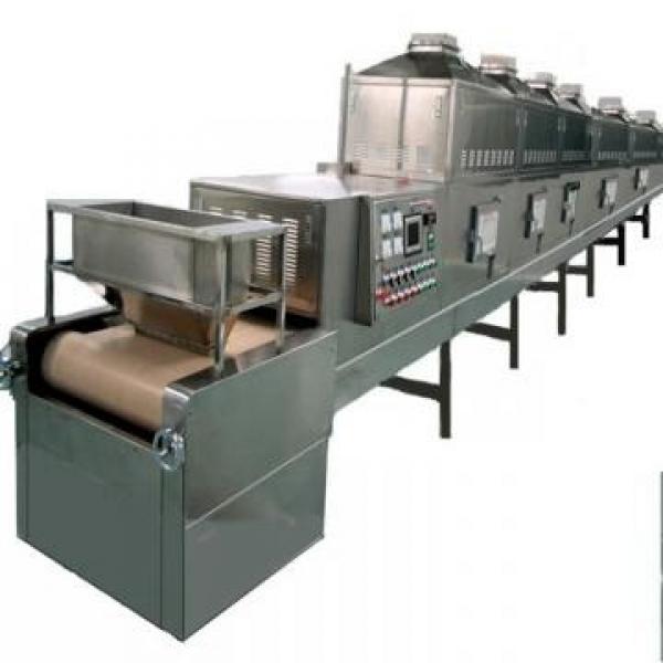 for Food Pharmaceut Industry Electric Hot Air Fruit Mushroom Cycle Plating Tray Tunnel Dryer Machine #1 image