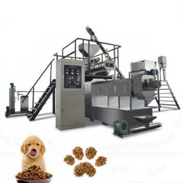 Dry Animal Pet Dog Cat Birds Food Floating Sinking Fish Feed Pellet Extruder Machine #1 image