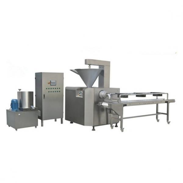 Extruded Diet Protein Puff Bar Snacks Device Machine #1 image